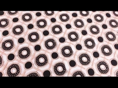 Guipure περιποίησης δαντελλών μαζικών αποθεμάτων υδροδιαλυτό ύφασμα περιποίησης δαντελλών κεντητικής