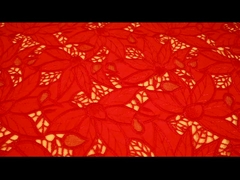 πανέμορφο ύφασμα δαντέλα από τούλι κέντημα γκιπούρ